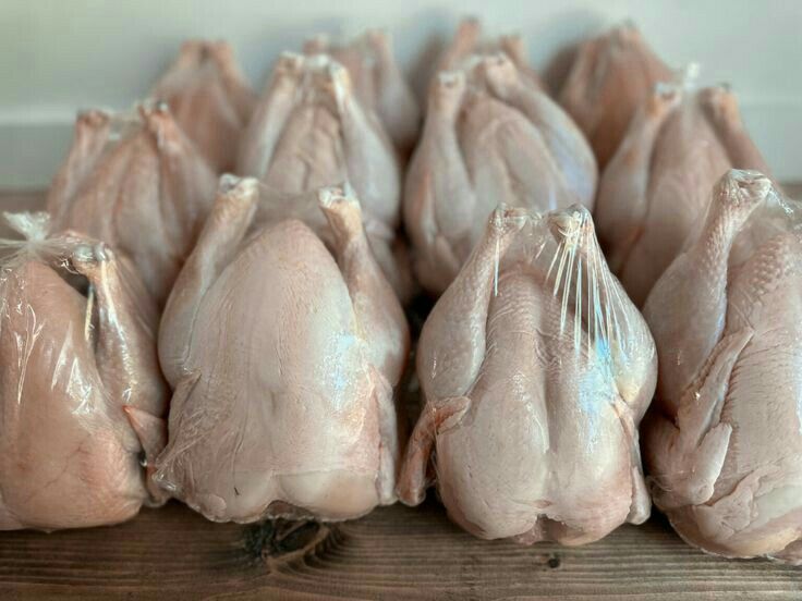Chicken Bulks